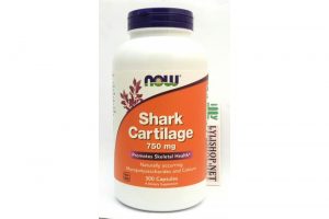 Shark Cartilage 750mg hãng Now chai 300 viên từ Mỹ cho mắt sáng và giảm đau sụn khớp